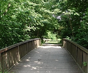 Eine Brücke